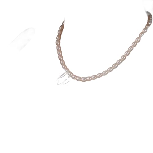 VRWp[lbNX S[h W^ 5mm ؍ fB[X 