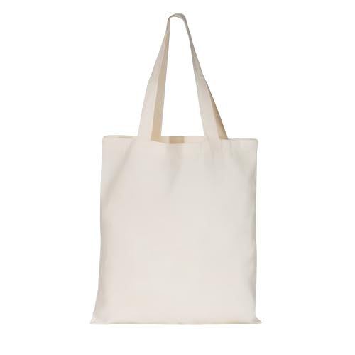 Sacola Ecológica Bolsa Reutilizavel Retornável Ecobagg Com Alça (Lisa - 25x19cm)