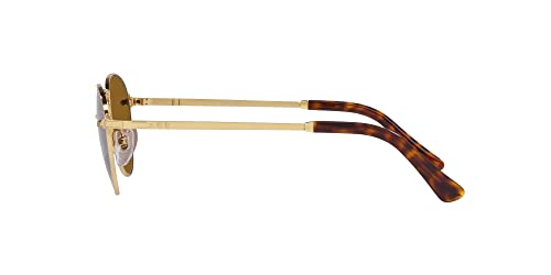 Image of Persol PO2491S Round Sunglasses