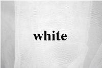 1T 1 Tier Flower Scallop Embroided Lace Pearl Veil - White Fingertip Length 36" V466 #TOP5