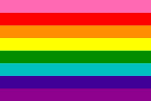 Drapeau Large Gay flag 8 original arc-en-ciel Arco multicolore grand format - 2