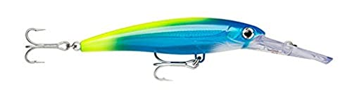 Rapala X-Rap Magnum 40 Yellow Fusilier UV