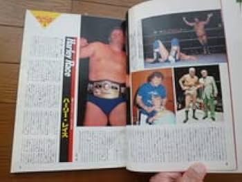 ゴング創刊13周年記念　永久保存版 THE WRESTLER BEST 100 ゴング創刊13周年記念 永久保存版 ザ・レスラー・ベスト100(小柳