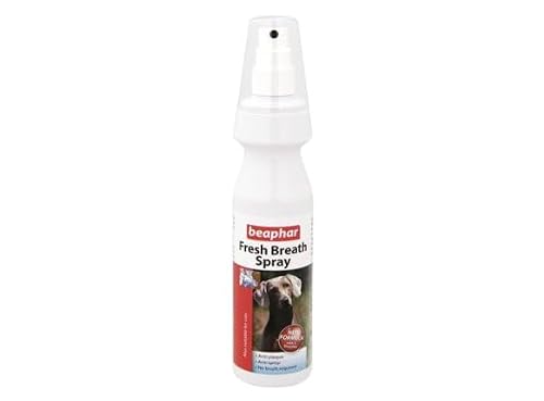 FRESH BREATH SPRAY 150ML