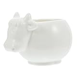 Pot de fleurs de plantation : un pour et amoureux des plantes, ils se sentiront , pot de fleurs en céramique