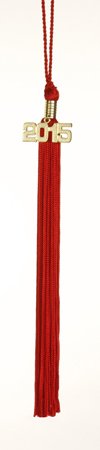 Tassel Depot 2005 RED Graduation Tassel - Every School Color Available - Made in USA