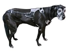 Image of Tail Guard & Harness Set - Veterinary Dog Tail Protector & Injury Wrap, Size XXL