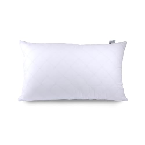 Recron Certified Dream Quilted Pillow 43cm x 69cm (17 x 27 inches) (B0CG63XLZF) Amazon Price History, Amazon Price Tracker