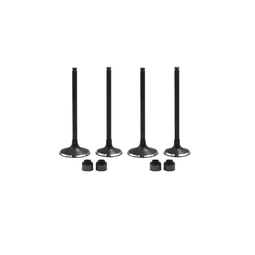 Soupapes d'admission KLX250 contre les pertes de compression de moto KLX300 - 2