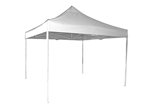 Zenport AGT3M Solar Guard Canopy, 10 by 10-Feet