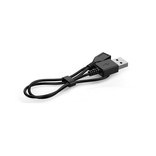 Image of USB-C Female Port to USB-A Port Data Cable, Suitable for Digital Voice Recorder