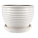 Honey Planter, Cream White Glazed Ceramic, 6-In.