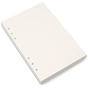 Bidponds A5 Blanko-Papier Nachfüllpapier, 80 Blatt