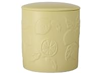Maxwell & Williams Love Anna x Botanika Citrus Limon Fragrance Candle 290g Gift Boxed