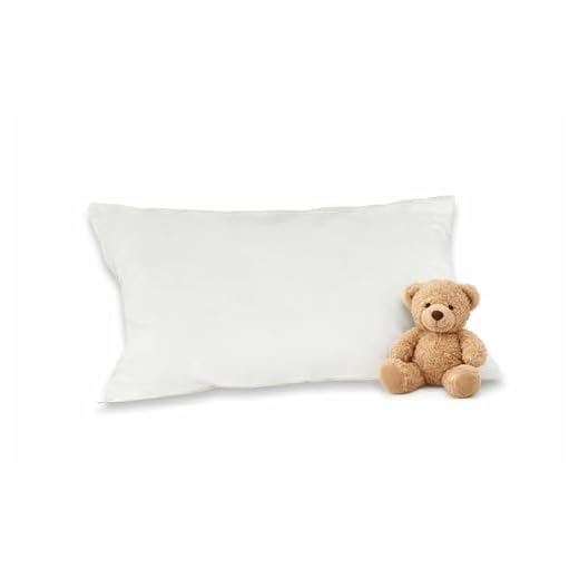 Irisette Bambino Kinder Kopfkissen mit Bezug aus reiner Baumwolle, 40 x 60 cm, Schadstoffgeprüfte Textilien - Öko-Tex zertifiziert, produziert nach deutschem Qualitätsstandard