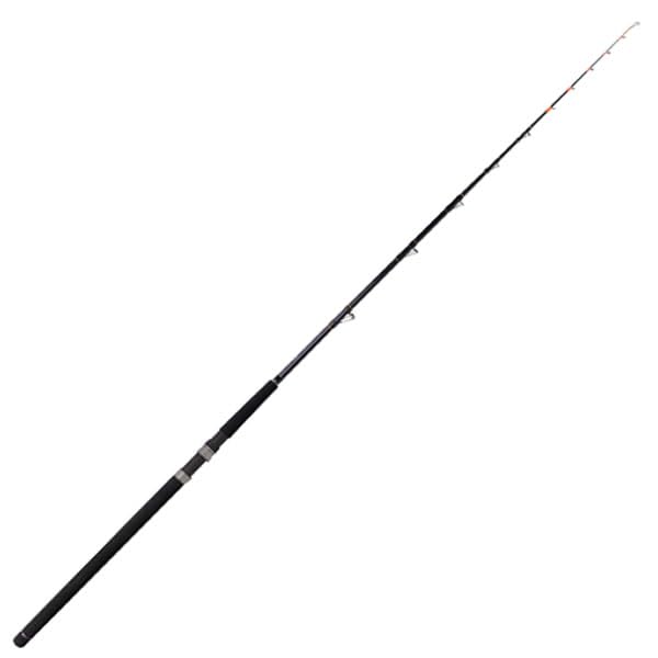 Amazon | アマノ釣具 ナビゲーターイカ 170H | アマノ釣具 | 船竿