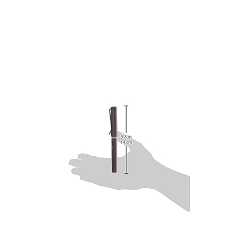 Lamy Safari Fountain Pen, Charcoal