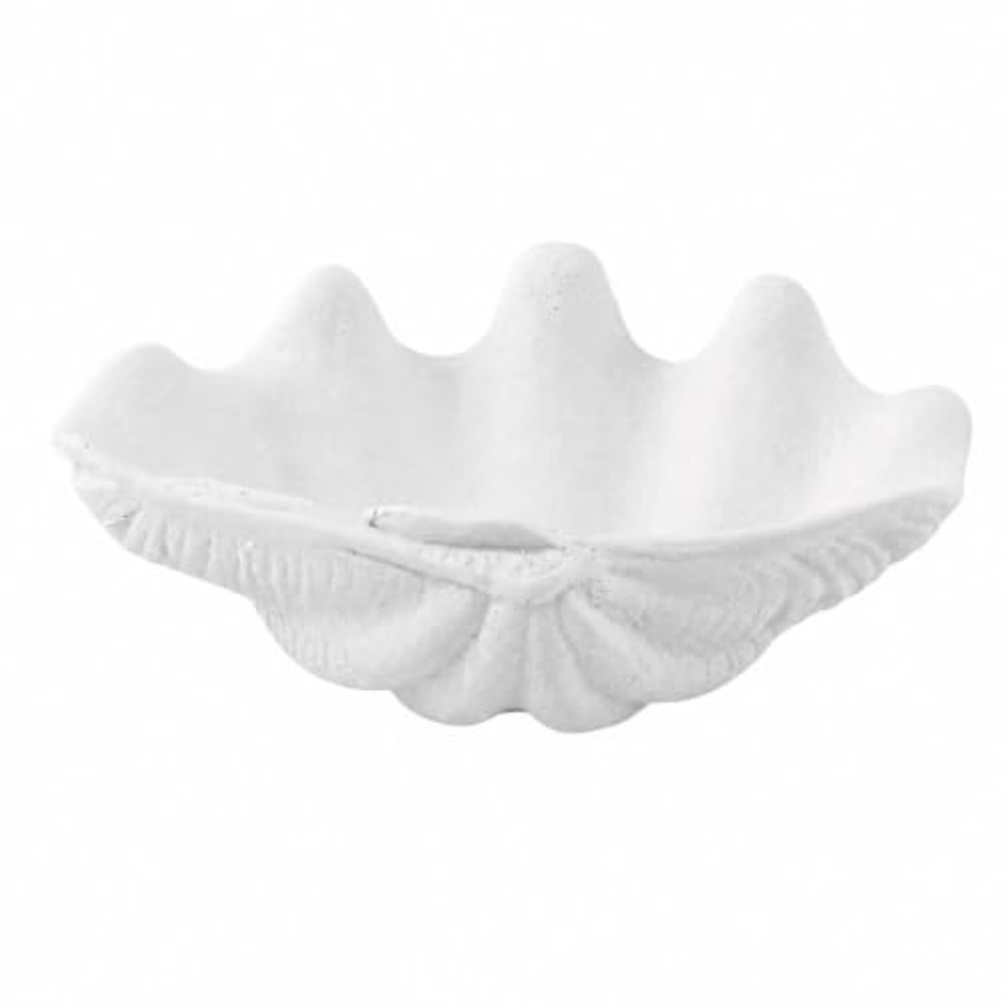 Modern Shell-Shaped Decorative Tray, Textured Design