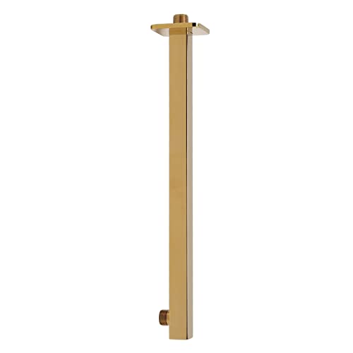 Brazo de ducha extensor ajustable YWBL-WH de acero inoxidable con cabezal de pared 2
