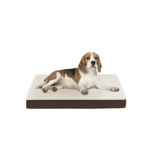 Friends Forever Orthopedic Dog Bed, Cooling Dog Beds