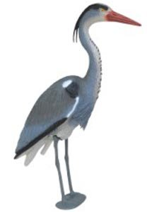 PondH2o Blue Heron Decoy with Legs & Stake 30'' (76cm) Tall, Adult Blue Heron Decoy for Yards & Water Garden Ponds