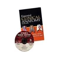 AND Dynamic Human Anatomy
