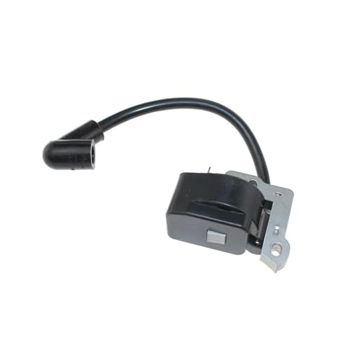 Module d'allumage RY30550 résout ratés moteur bobine 308389002 RY30562