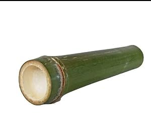 pragya Bamboo Mutton Cylinder & Biryani Traditional Tasty Food (Pack of 2)