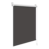 WOLTU Store Occultant Enrouleur sans Perçage, Rideau Opaque avec Revêtement d'argent, Protection de Vie Privée & Protection Soleil, pour Fenêtre ou Porte, 80 x 210 cm, Anthracite