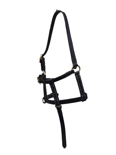 Cwell Equine COLLAR DE CABEZA CUERO FOAL NEGRO