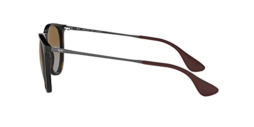 Image of Ray-Ban RB4171 Erika Round Sunglasses