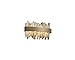 Allegri Lighting 12 Inch 12W Led Ada Bath Vanity Brushed Champagne Gold Firenze Chrome Finish with Firenze Clear Crystal 030230-038