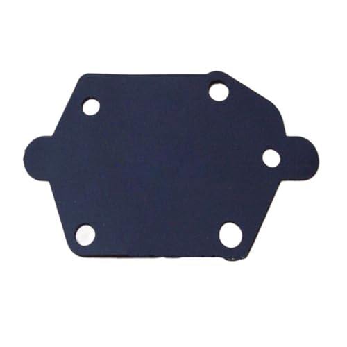 Pompe à membrane moteur hors-bord 25 40 60 CV alimentation essence