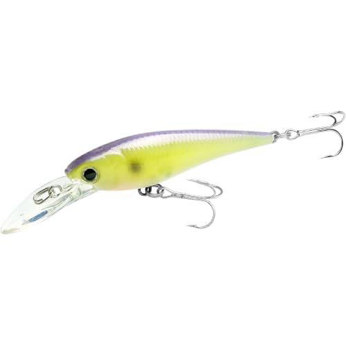 ベビーシャッドSP18個セット バーサスケース付き Amazon.co.jp: LUCKY CRAFT: ベビーシャッド
