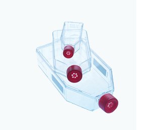 Greiner Bio-One 658930 CELLCOAT T75 Tissue Culture Flask, Canted Neck with Filter Cap, Coated with Fibronectin, 250 mL Volume (Pack of 50)