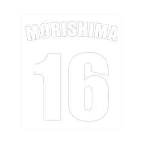 DNG 　アイロンプリントシール Amazon.co.jp: TranSmile アイロンプリントシート 20枚 A4 白