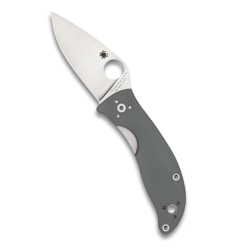 Spyderco Alcyone Value Folding Utility Knife with 2.91' CTS BD1 Stainless Steel Blade and Durable...