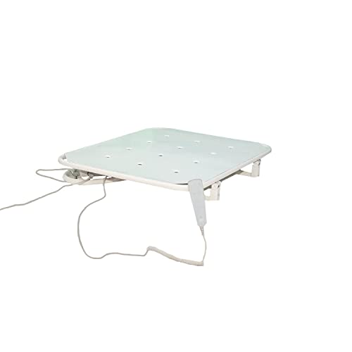 Image of Green Earth Motorized Recliner with Mattress for Home or Hospital Use.