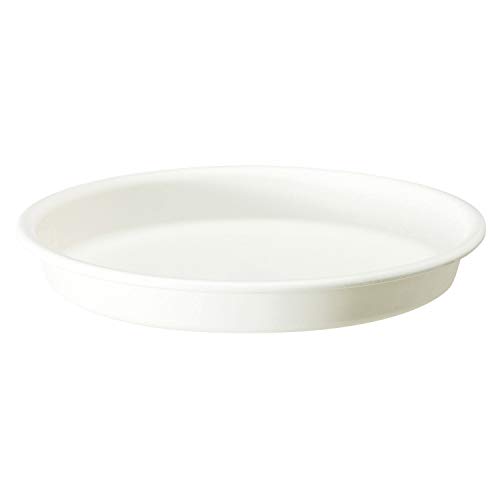 ��a�v���X�`�b�N ���E�v�����^�[�p�󂯎M �O���E�v���[�g ���a225×H32mm �O���E�R���e�i�p��M���t�^ 24�^ �z���C�g