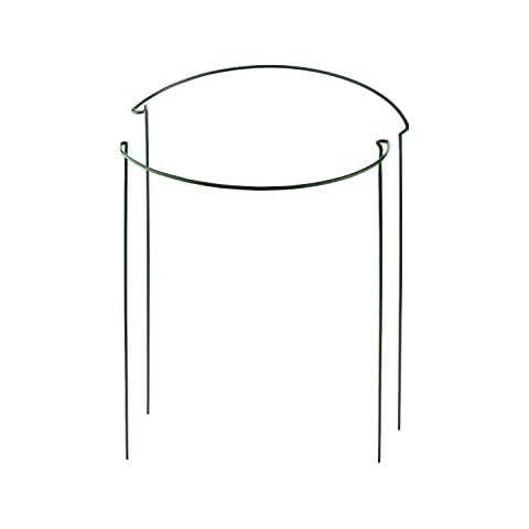 AIEX 2 Piezas Soporte para Plantas Cover