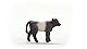 SCHLEICH 13969 Galloway Kalb, ab 3 Jahren, Farm World - Spielfigur, 3 x 8 x 6 cm