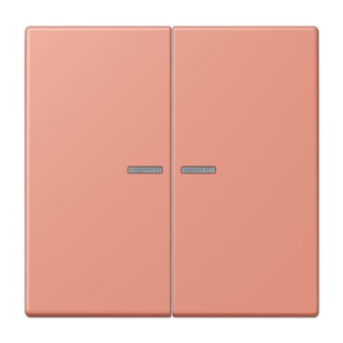 Double touche avec visière commande électrique LC32111 JUNG LC995KO5233 - 2