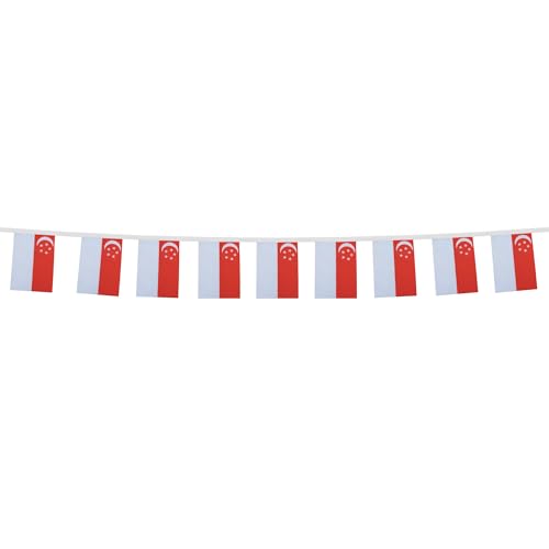 Image of AZ FLAG Singapore 6 meters BUNTING Flag 20 flags 9'' x 6'' - Singaporean STRING flags 15 x 21 cm