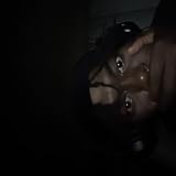 8270276 Records DK