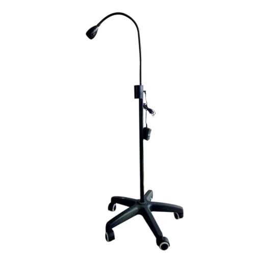 Lampe chirurgicale dentaire 3W à col de cygne flexible pour cabinet médical