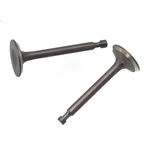 Gettimore Motorventil für 168F GX200 GX160 Motoren, Ansaug- und Auslassventilschaft-Set, Metallkonstruktion, kompatibel mit Mini-Deichselpumpe Gartenmaschinen