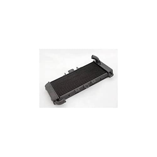 compatible avec/remplacement pour FZS 600 FAZER -98/03- RADIATEUR EAU - RA3263
