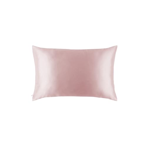 DAISYSILK Silk Pillow Cases, 100% Grade 6A 22 Momme Pure Mulberry Silk Pillowcase with Zipper, Hypoallergenic Cooling Breathable Smoot for Women Men,1PCS (Pink, 20''*30'')