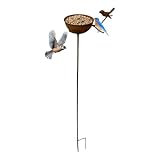 Garten Vogeltränke Mit Erdspieß Rostbeständige Vintage Dekoration Für Den