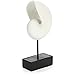 com-four® Deco Figure Nautilus Shell - Accesorio de Vida marítima - Gran Figura de coleccionista - artística y Realista - Soporte de diseño para pintarte a ti Mismo (Nautilus Shell)